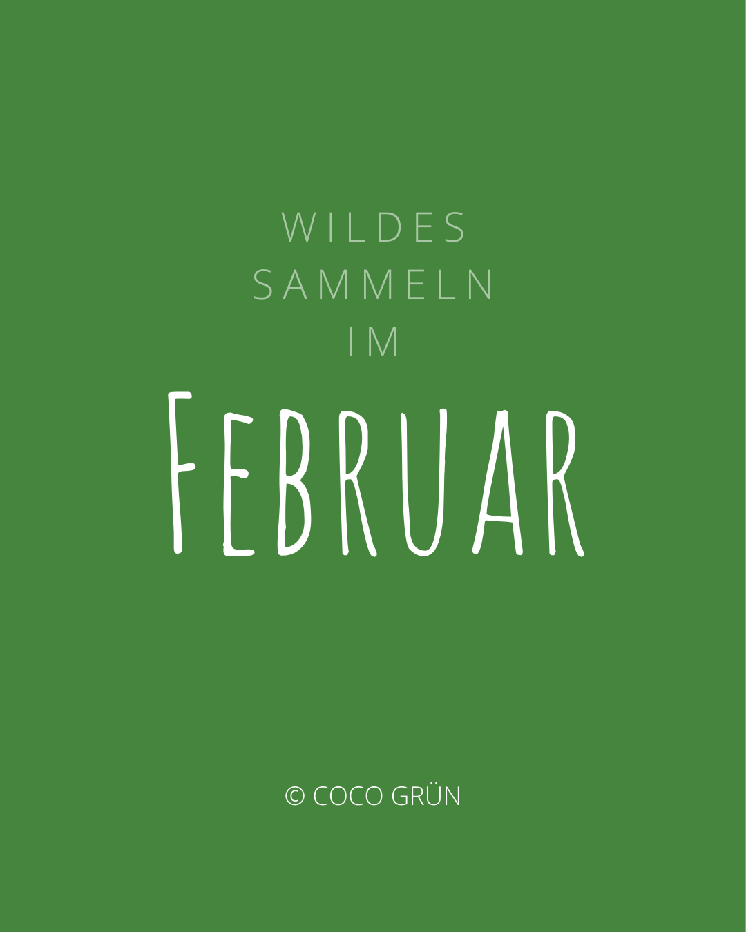 Wildes sammeln im Februar