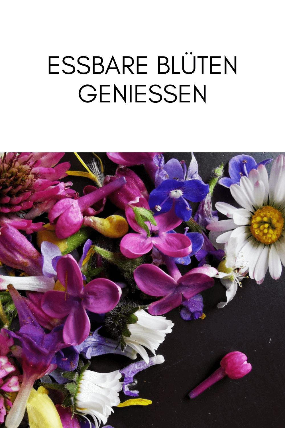Bunte Blüten auf schwarzem Teller