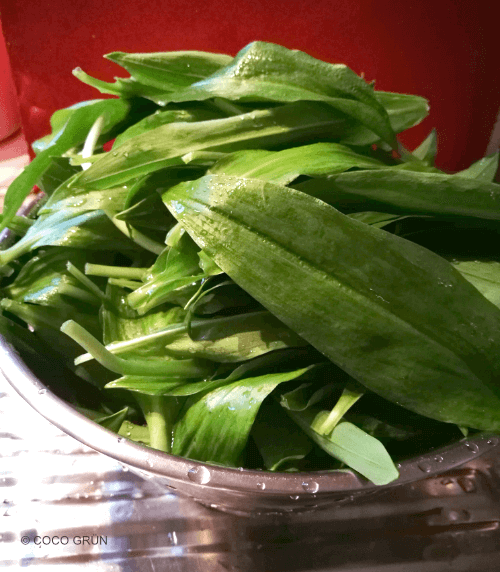 Bärlauchblätter in einer Schüssel