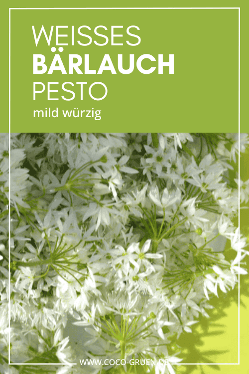 Bärlauchblüten Bärlauchblüten