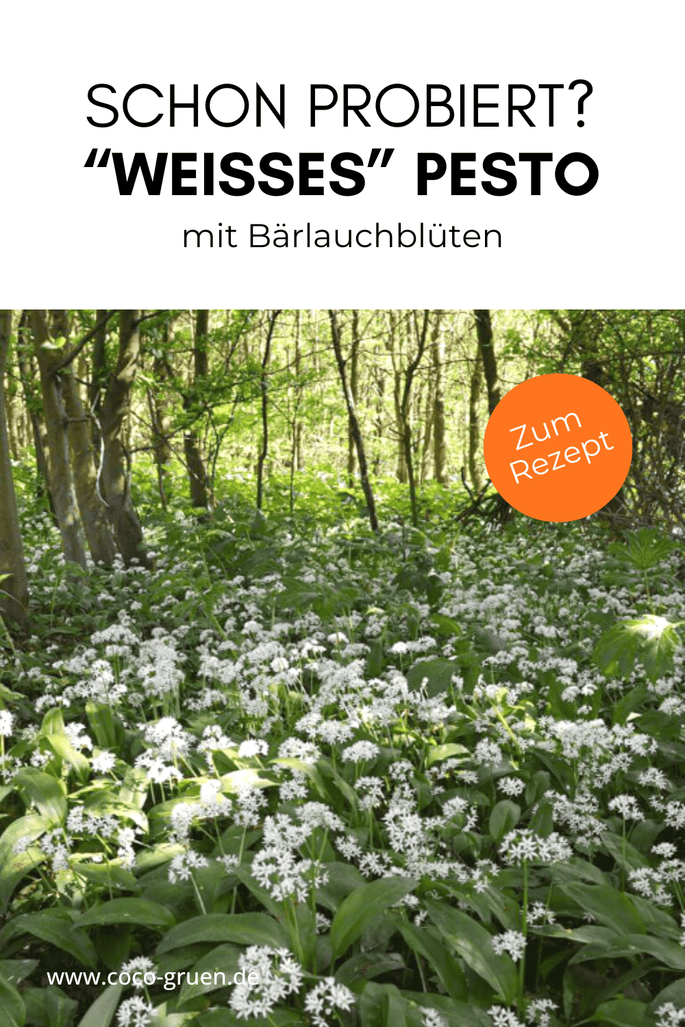 Bärlauch Blütenwald