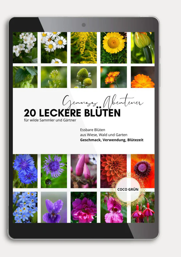 20 leckere Blüten - COCO GRÜN - Geschenk 20 leckere Blüten - COCO GRÜN - Geschenk