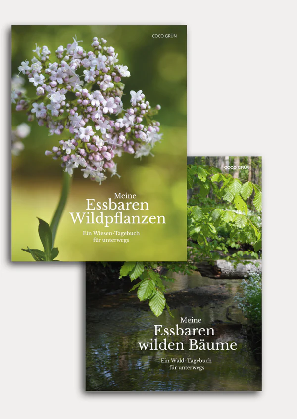 Bundle - Wald- und Wiese Tagebücher für unterwegs - COCO GRÜN