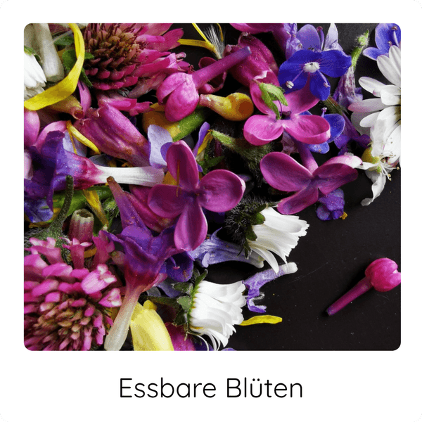 Essbare Blüten COCO GRÜN Bunte essbare Blüten auf einer schwarzen Platte