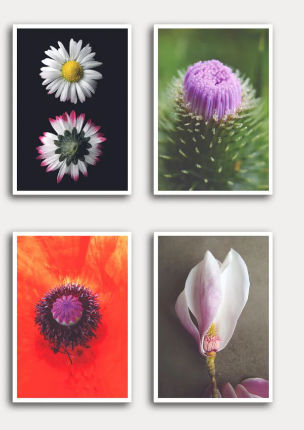 Postkarten-Set mit Blüten COCO GRÜN