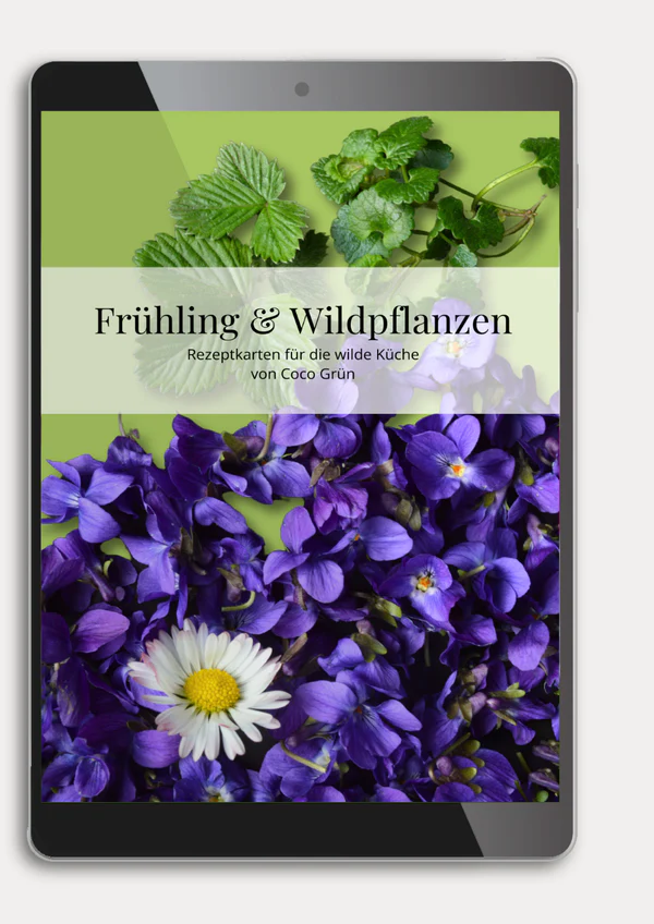 Rezepte Frühling & Wildpflanzen - COCO GRÜN Rezepte Frühling & Wildpflanzen - COCO GRÜN