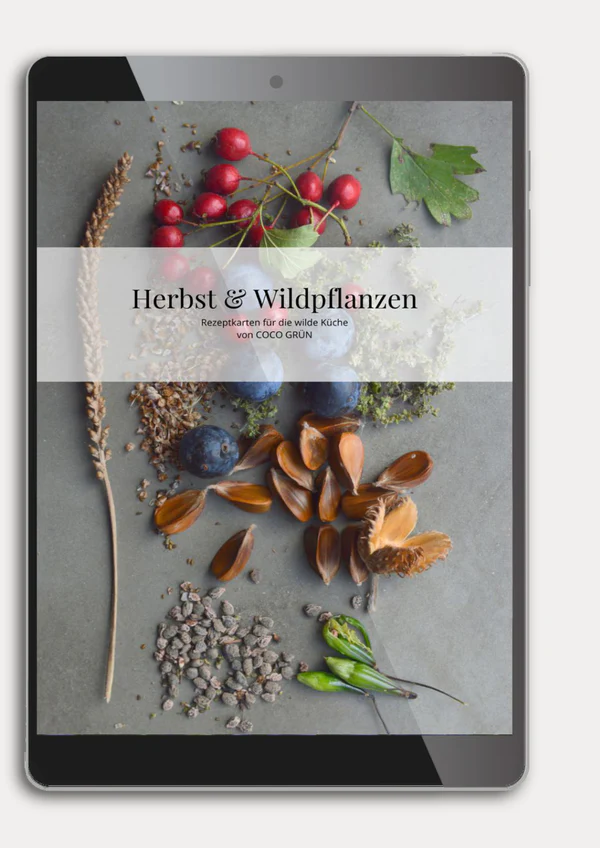 Rezepte Herbst & Wildpflanzen - COCO GRÜN - PDF Rezepte Herbst & Wildpflanzen - COCO GRÜN - PDF