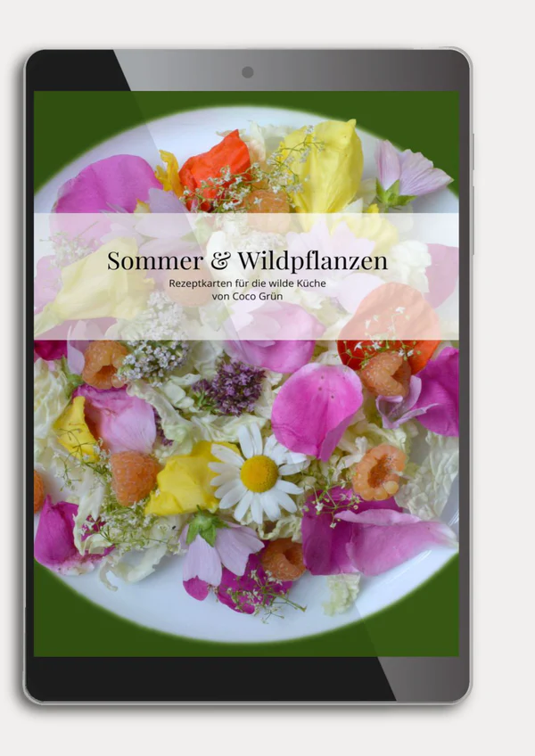 Rezepte Sommer & Wildpflanzen - COCO GRÜN (PDF) Rezepte Sommer & Wildpflanzen - COCO GRÜN (PDF)