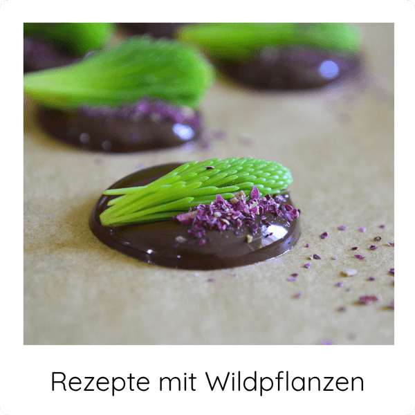 Rezepte mit Wildpflanzen COCO GRÜN Grüne Maispitzen der Fichte auf einem Tropfen Shcokolade mit getrockneten Rosenblüten bestreut