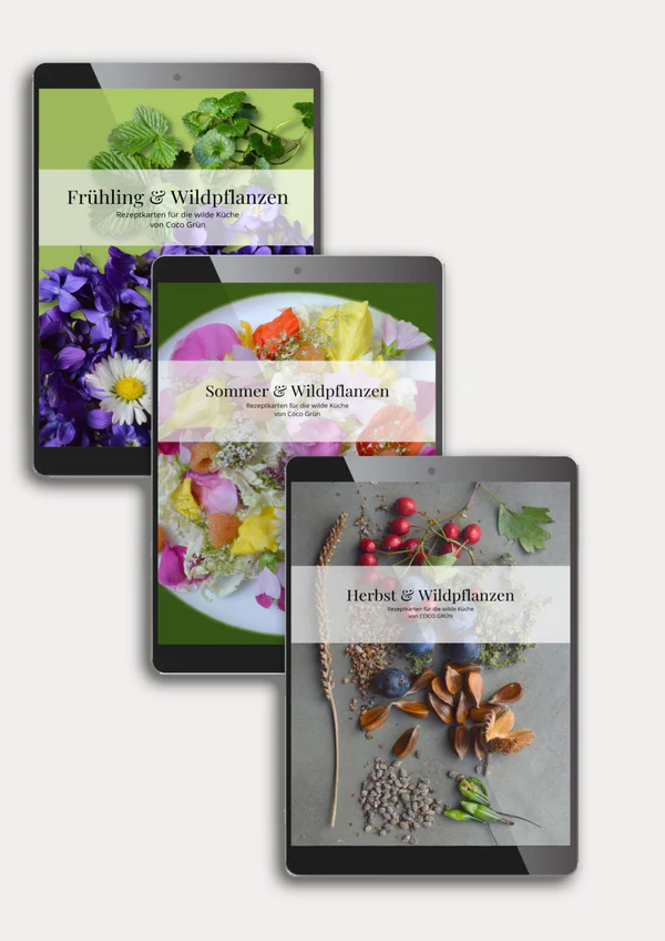 Rezeptkarten-Bundle digital - COCO GRÜN
