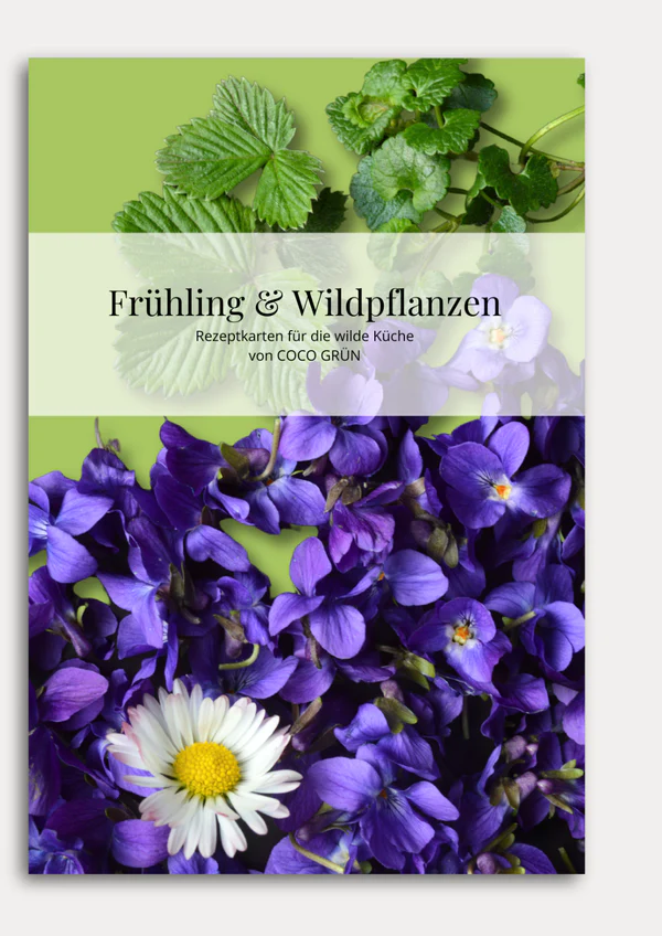 Rezeptkarten Frühling & Wildpflanzen - COCO GRÜN