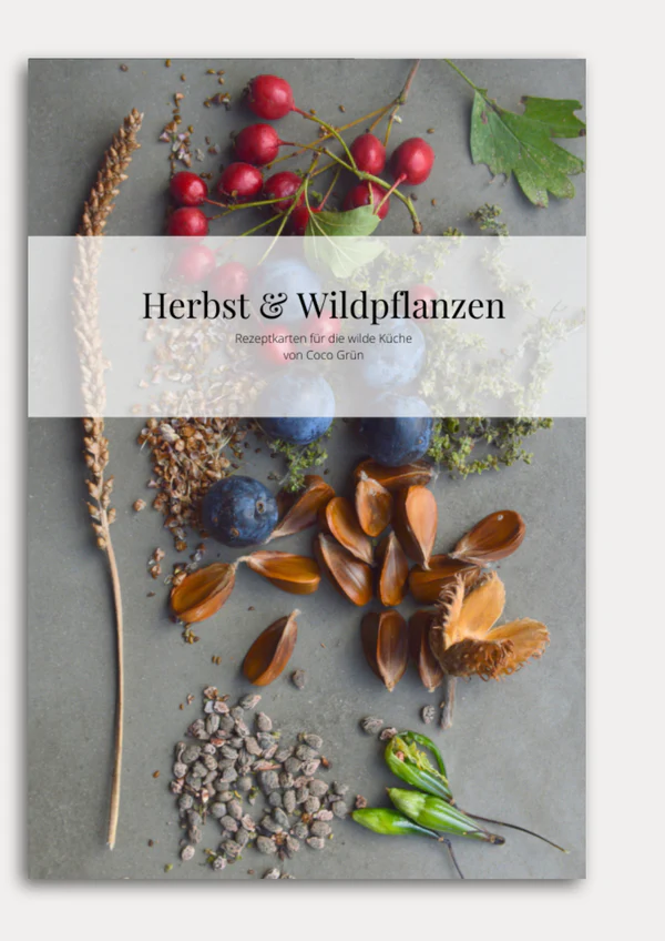 Rezeptkarten Herbst & Wildpflanzen - COCO GRÜN