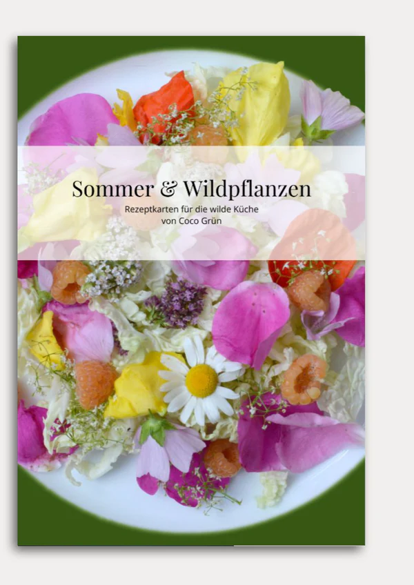 Rezeptkarten Sommer & Wildpflanzen - COCO GRÜN