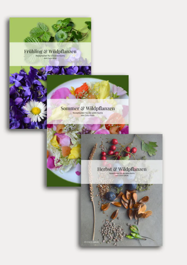 Rezeptkarten-Bundle Print - COCO GRÜN Rezeptkarten-Bundle Print - COCO GRÜN