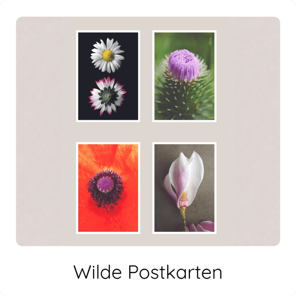 Wilde Postkarten COCO GRÜN 4 Postkarten mit Blüten von Wildpflanzen