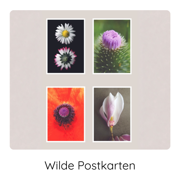 Wilde Postkarten