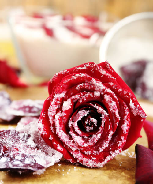 Kandierte rote Rose
