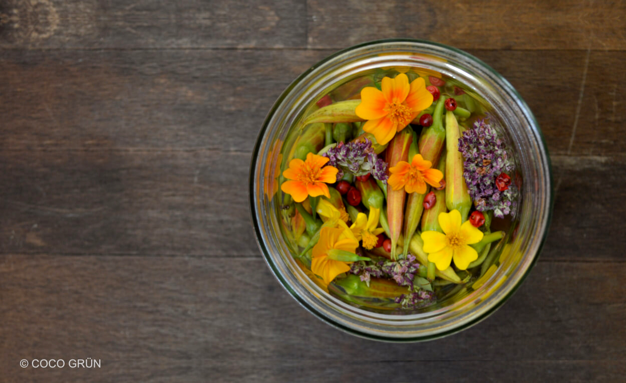 Nachtkerzenknospen mit anderen Blüten eingelegt COCO GRÜn