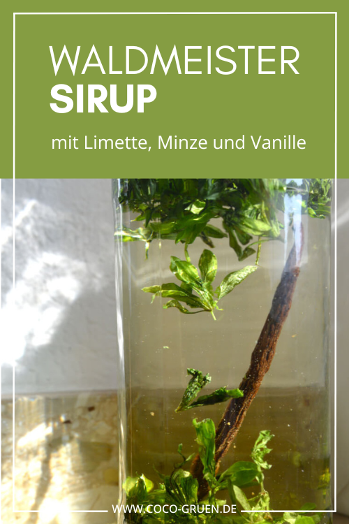Waldmeistersirup mit Vanillestange in einer Flasche COCO Grün-
