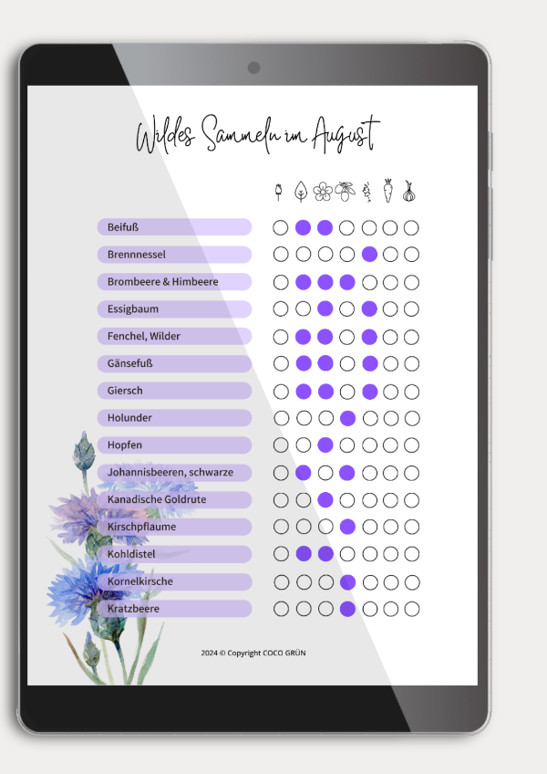 Liste mit Wildpflanzen zum Sammeln im August COCO GRÜN -