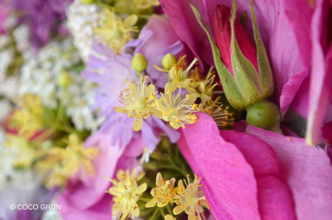 Bunte essbare Blüten COCO GRÜN Bunte essbare Blüten COCO GRÜN