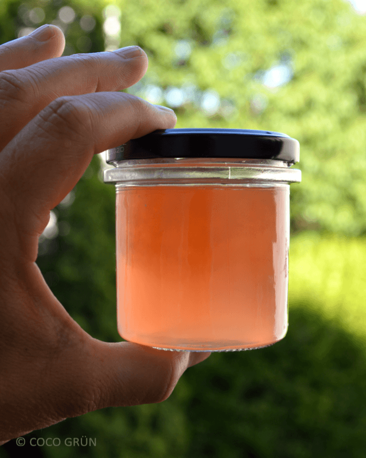 Wilde Möhre Blüten Gelee in einem Glas