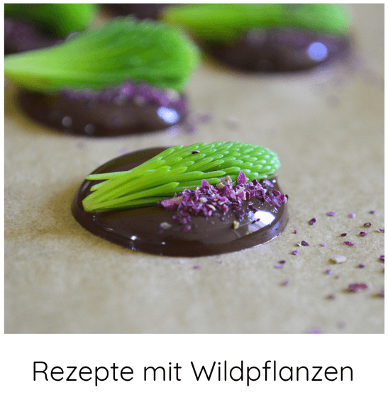 Grüne Maispitzen der Fichte auf einem Tropfen Shcokolade mit getrockneten Rosenblüten bestreut